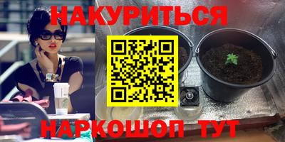 mdpv Кингисепп