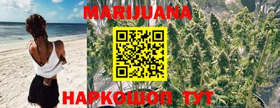 mdpv Кингисепп