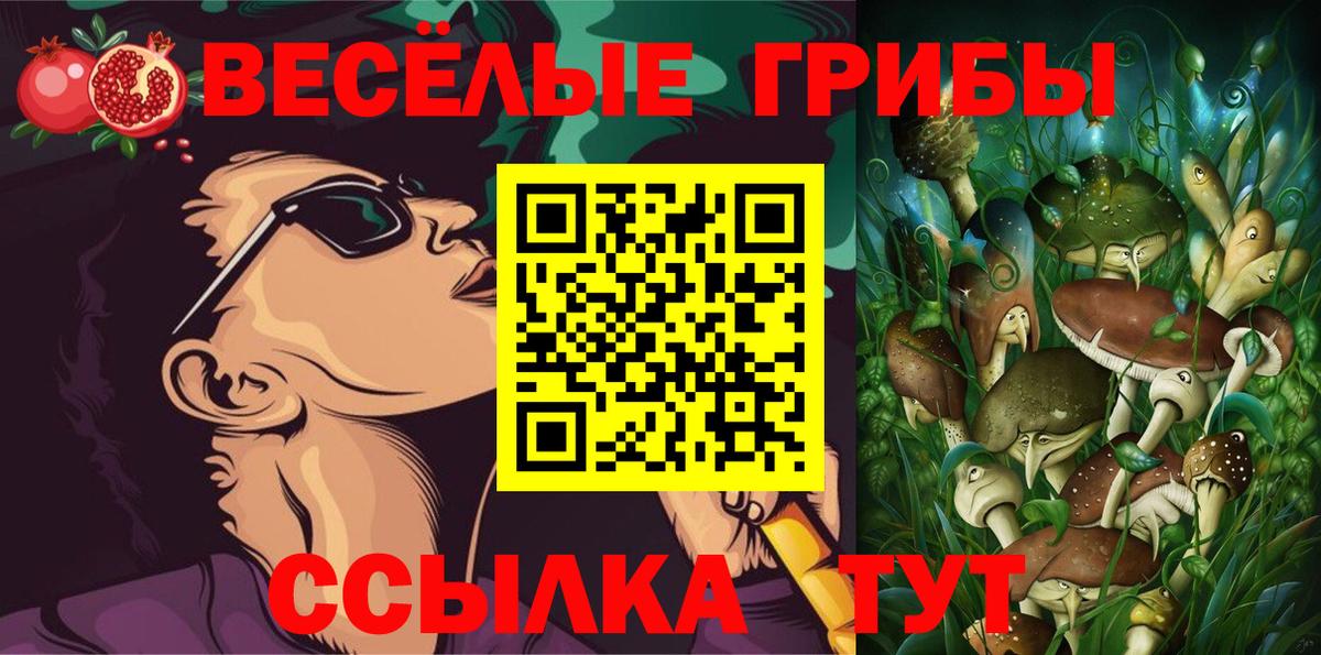 Псилоцибиновые грибы MAGIC MUSHROOMS  Вход с VPN  Арсеньев  Псилоцибиновые грибы прущие грибы 